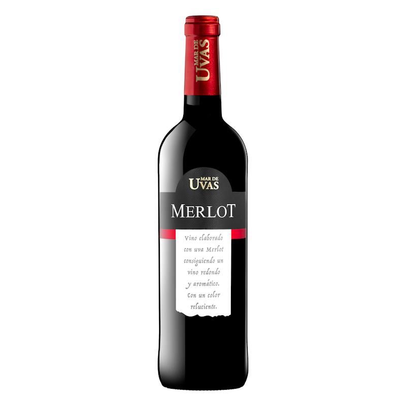 Vin rouge Merlot Mar de Uvas