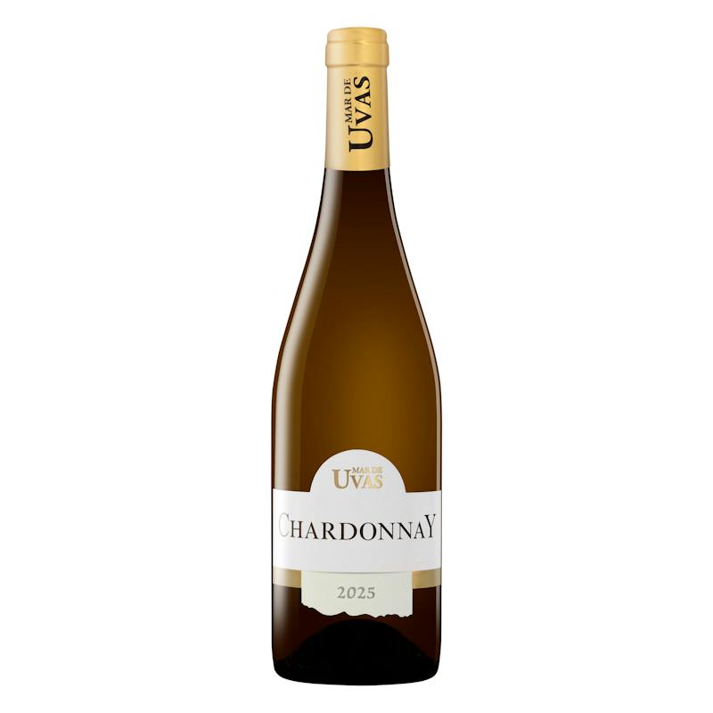 Vin blanc Chardonnay Mar de Uvas